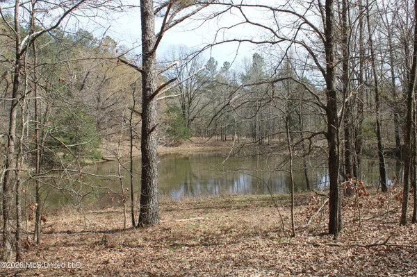 $10,500,000 | 4500 Jaybird Road, Hernando, MS 38632