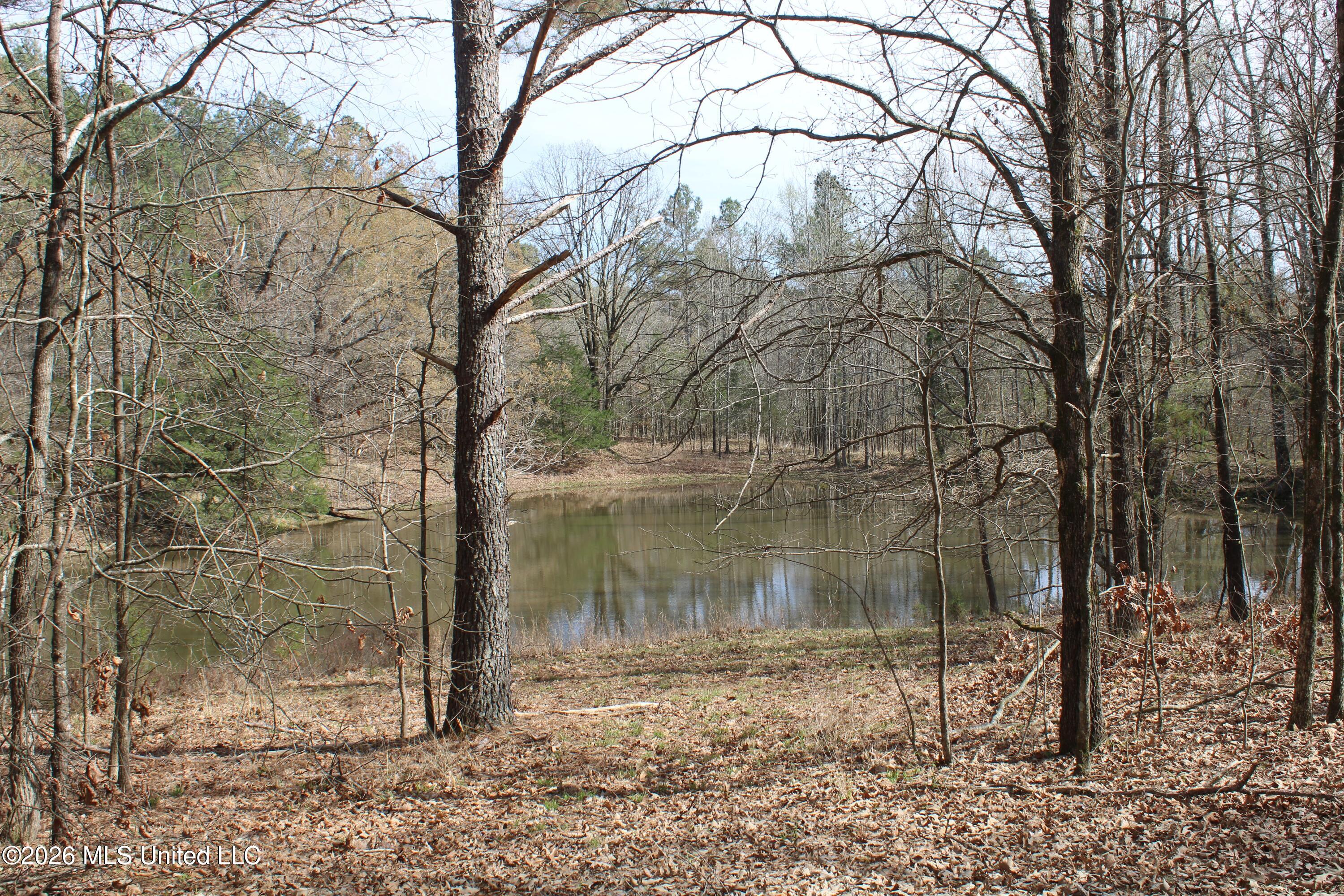 4500 Jaybird Road Hernando, MS 38632 - Photo 49 of 55 IMG_7579