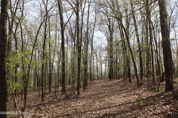 $10,500,000 | 4500 Jaybird Road, Hernando, MS 38632