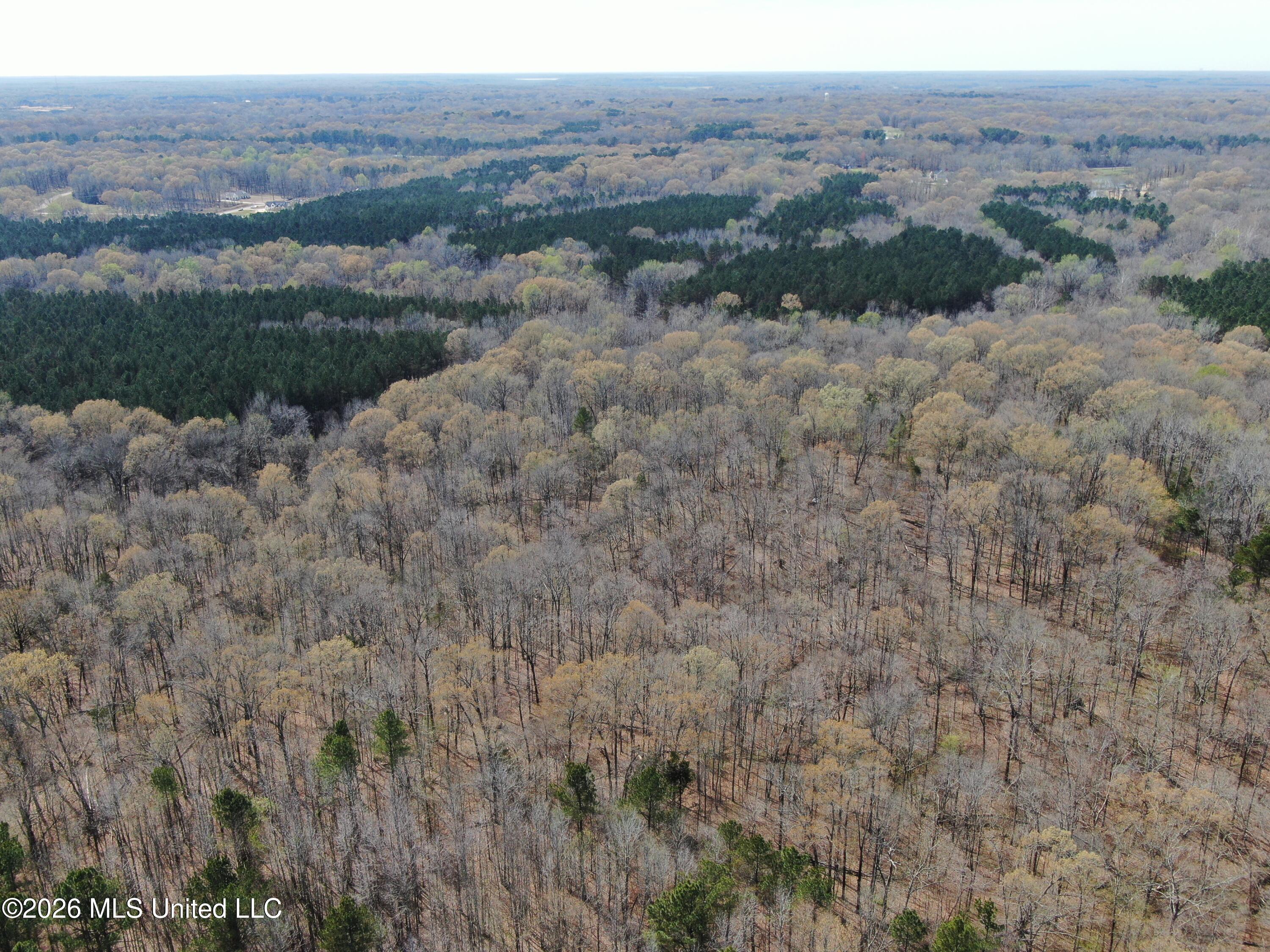 4500 Jaybird Road Hernando, MS 38632 - Photo 5 of 55 DJI_0854