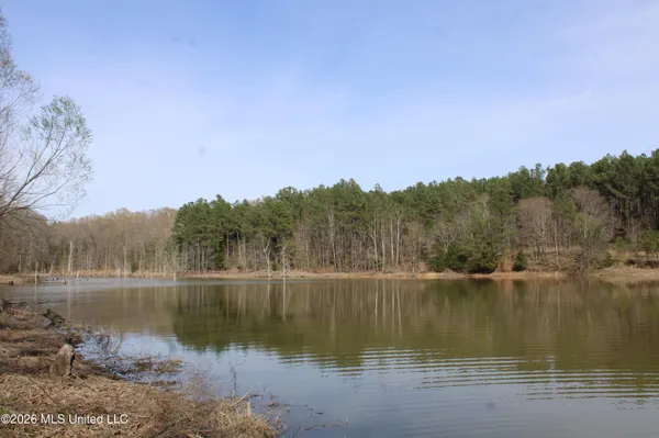 $10,500,000 | 4500 Jaybird Road, Hernando, MS 38632