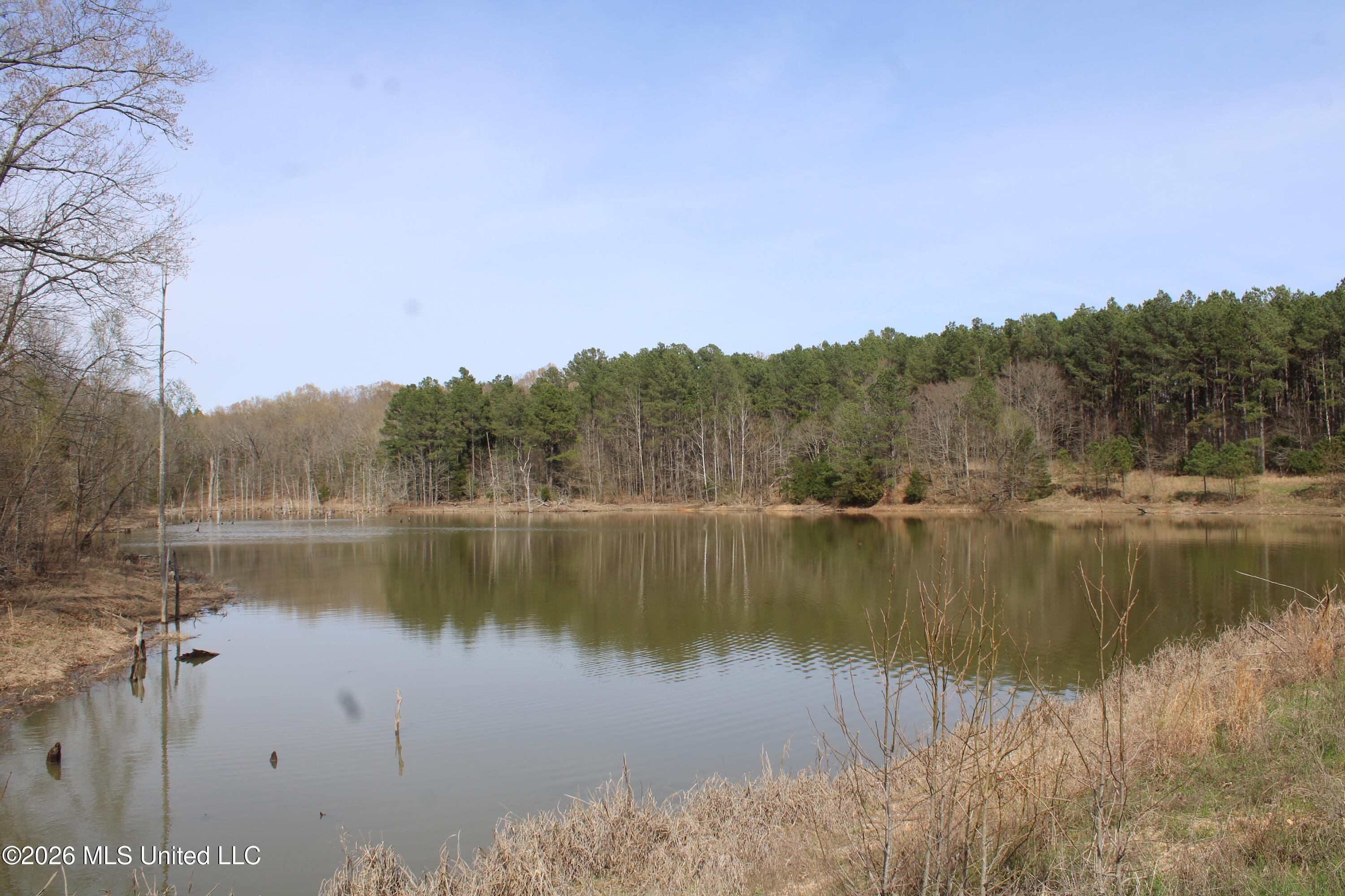 4500 Jaybird Road Hernando, MS 38632 - Photo 52 of 55 IMG_7582