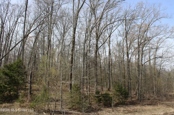 $10,500,000 | 4500 Jaybird Road, Hernando, MS 38632