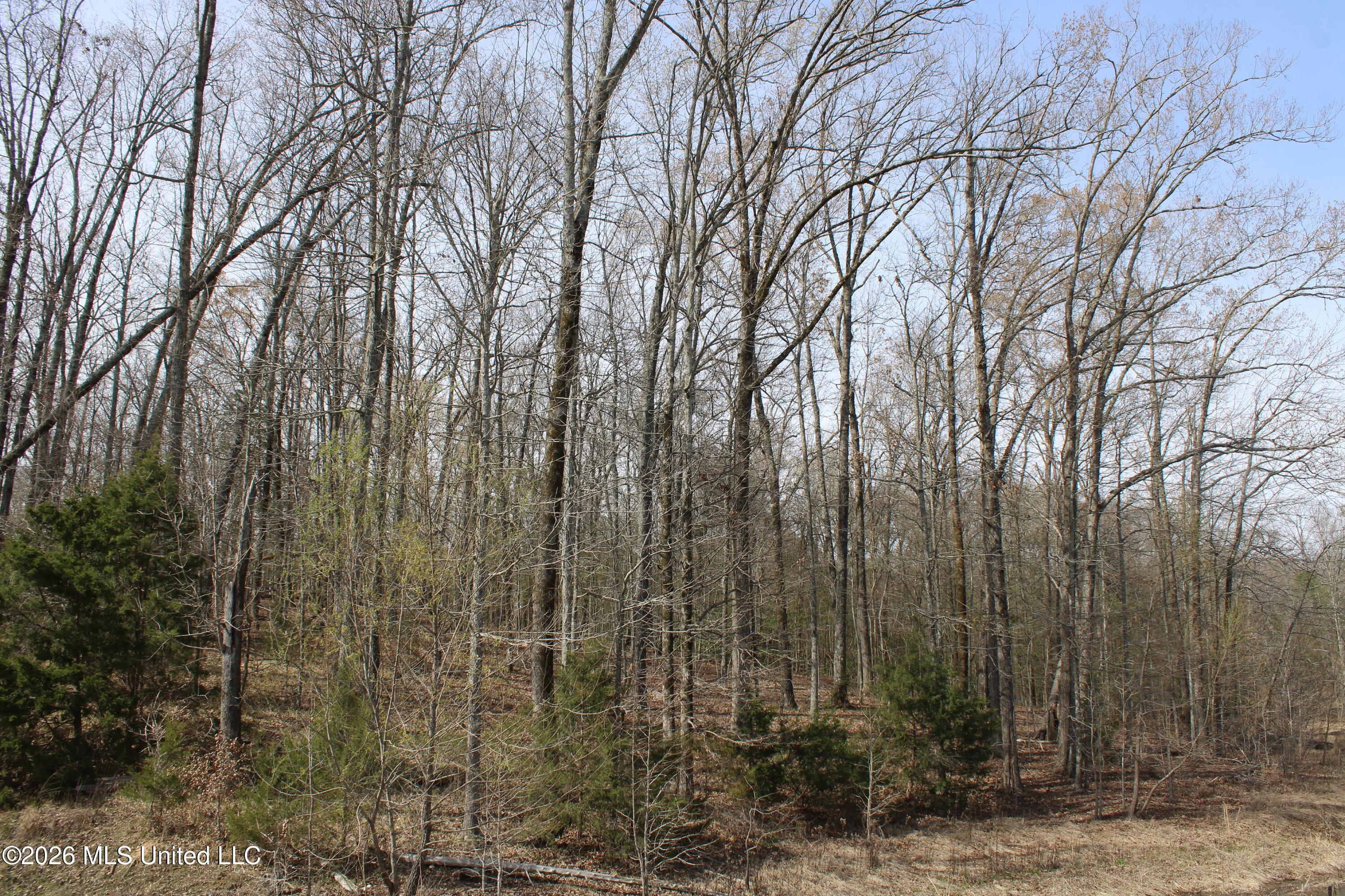 4500 Jaybird Road Hernando, MS 38632 - Photo 53 of 55 IMG_7583