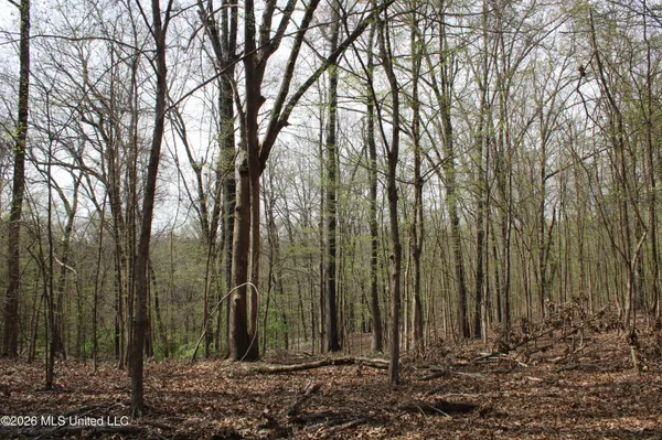 $10,500,000 | 4500 Jaybird Road, Hernando, MS 38632