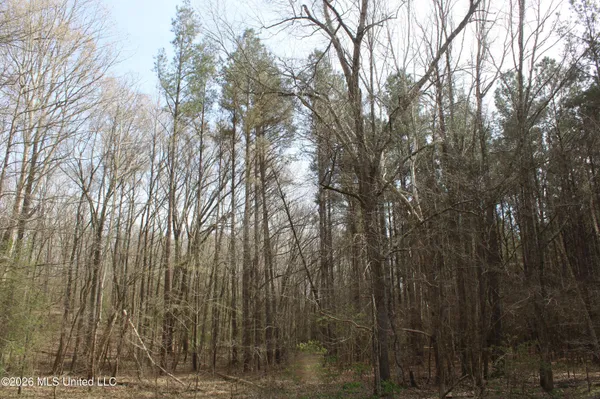 $10,500,000 | 4500 Jaybird Road, Hernando, MS 38632