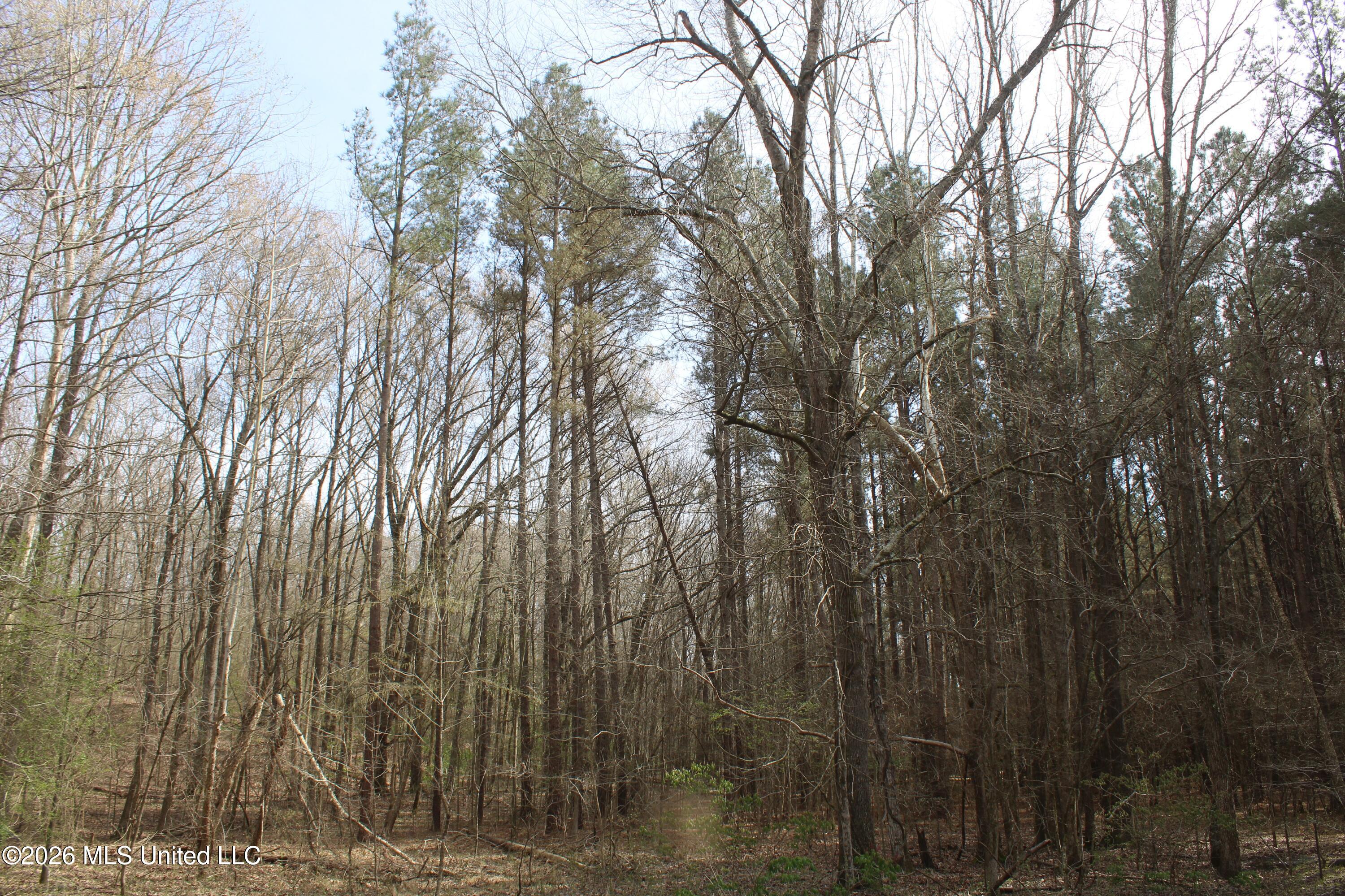 4500 Jaybird Road Hernando, MS 38632 - Photo 55 of 55 IMG_7585