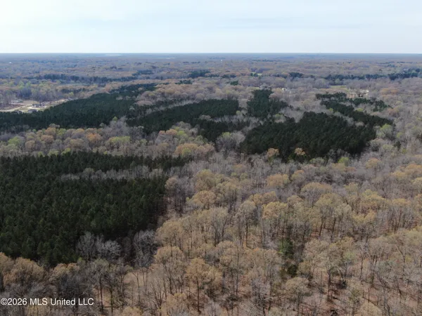 $10,500,000 | 4500 Jaybird Road, Hernando, MS 38632