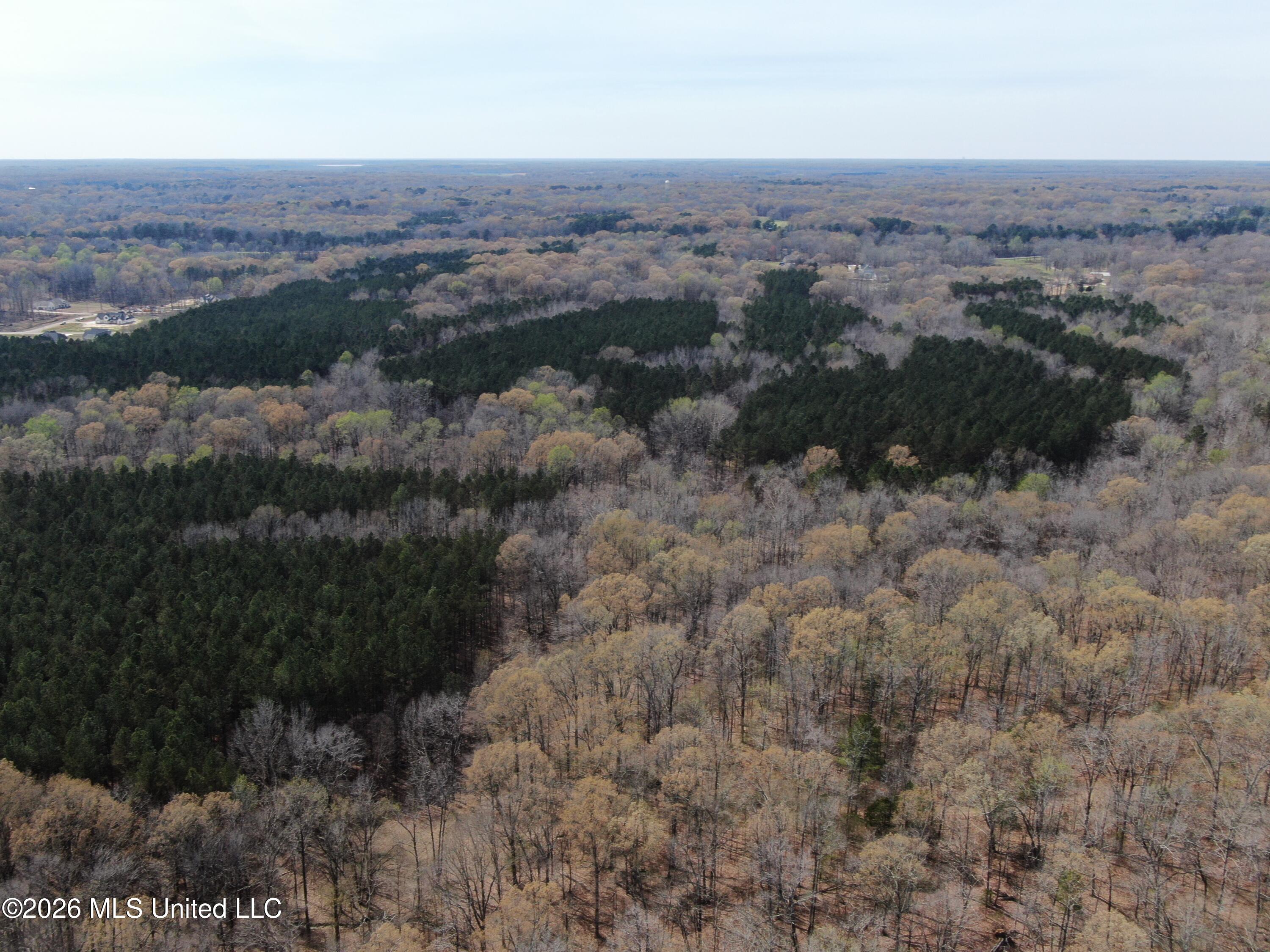 4500 Jaybird Road Hernando, MS 38632 - Photo 6 of 55 DJI_0855