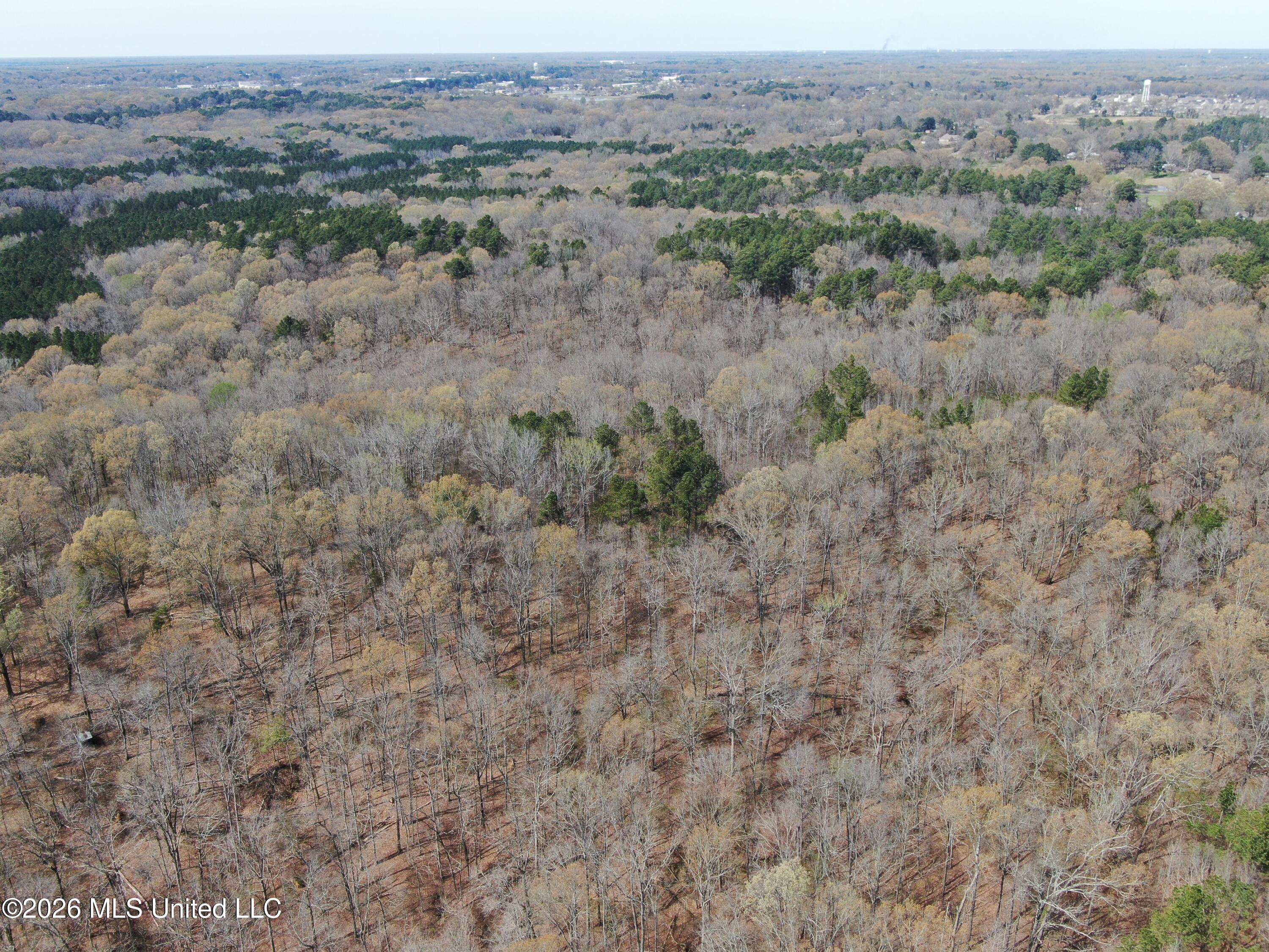 4500 Jaybird Road Hernando, MS 38632 - Photo 7 of 55 DJI_0856