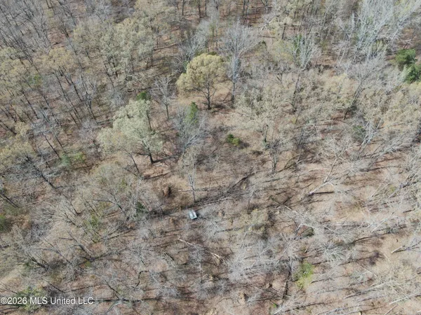 $10,500,000 | 4500 Jaybird Road, Hernando, MS 38632