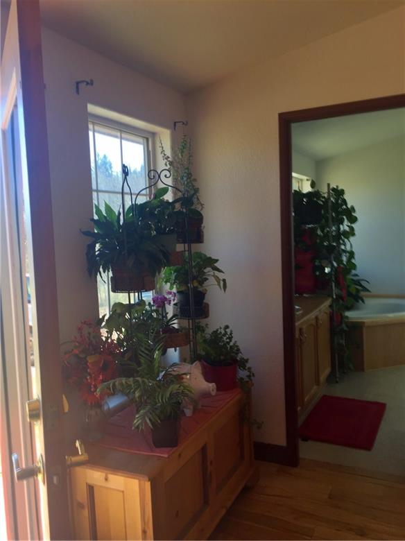 503 Spearpoint Road Como, CO 80432 - Photo 19 of 25 Gallery Image 19