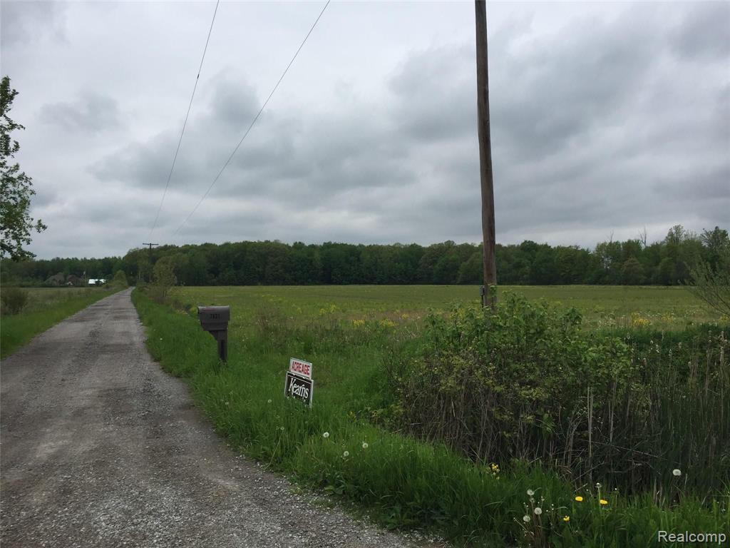 Tbd Cribbins Road Avoca, MI 48006 - Photo 3 of 5