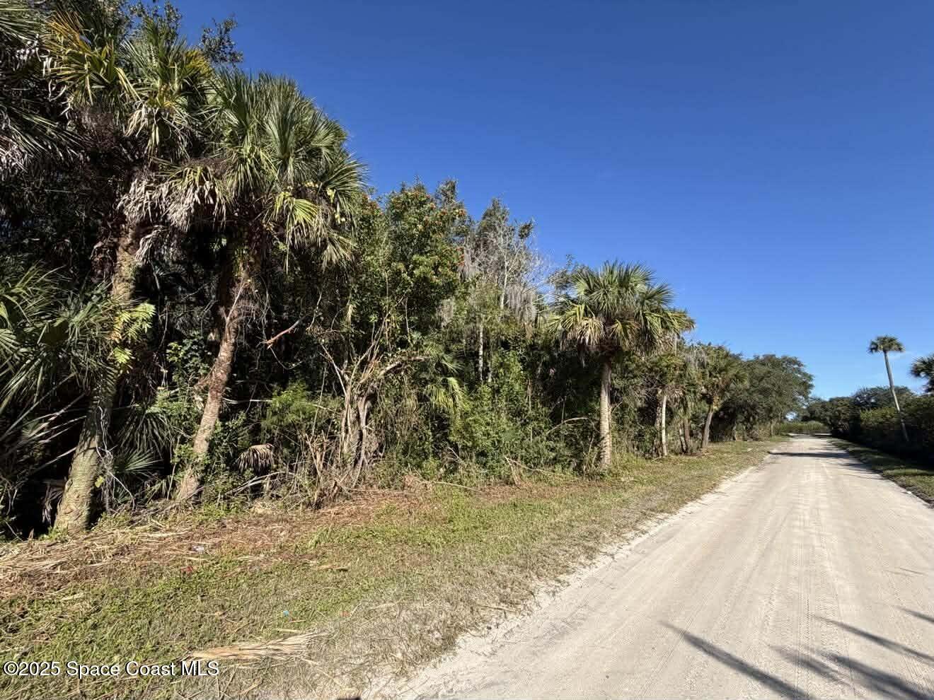 0 Hammock Road Mims, FL 32754 - Photo 17 of 35 598354880_881526234297226_27407102983557