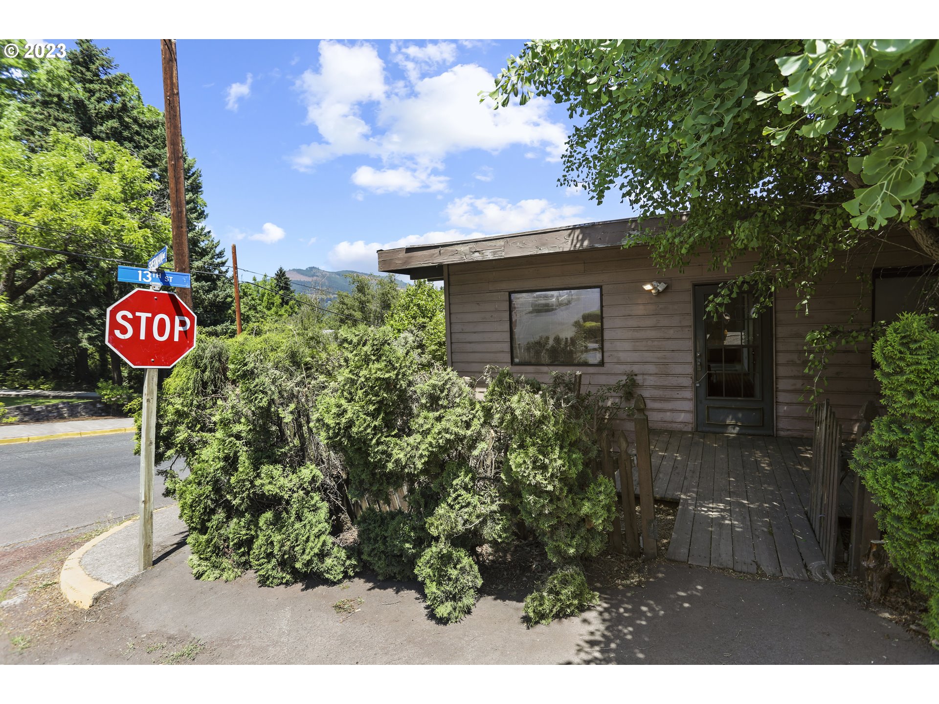 1237 State Street Hood River, OR 97031 - Photo 2 of 42 a view of a street with a tree in front of it