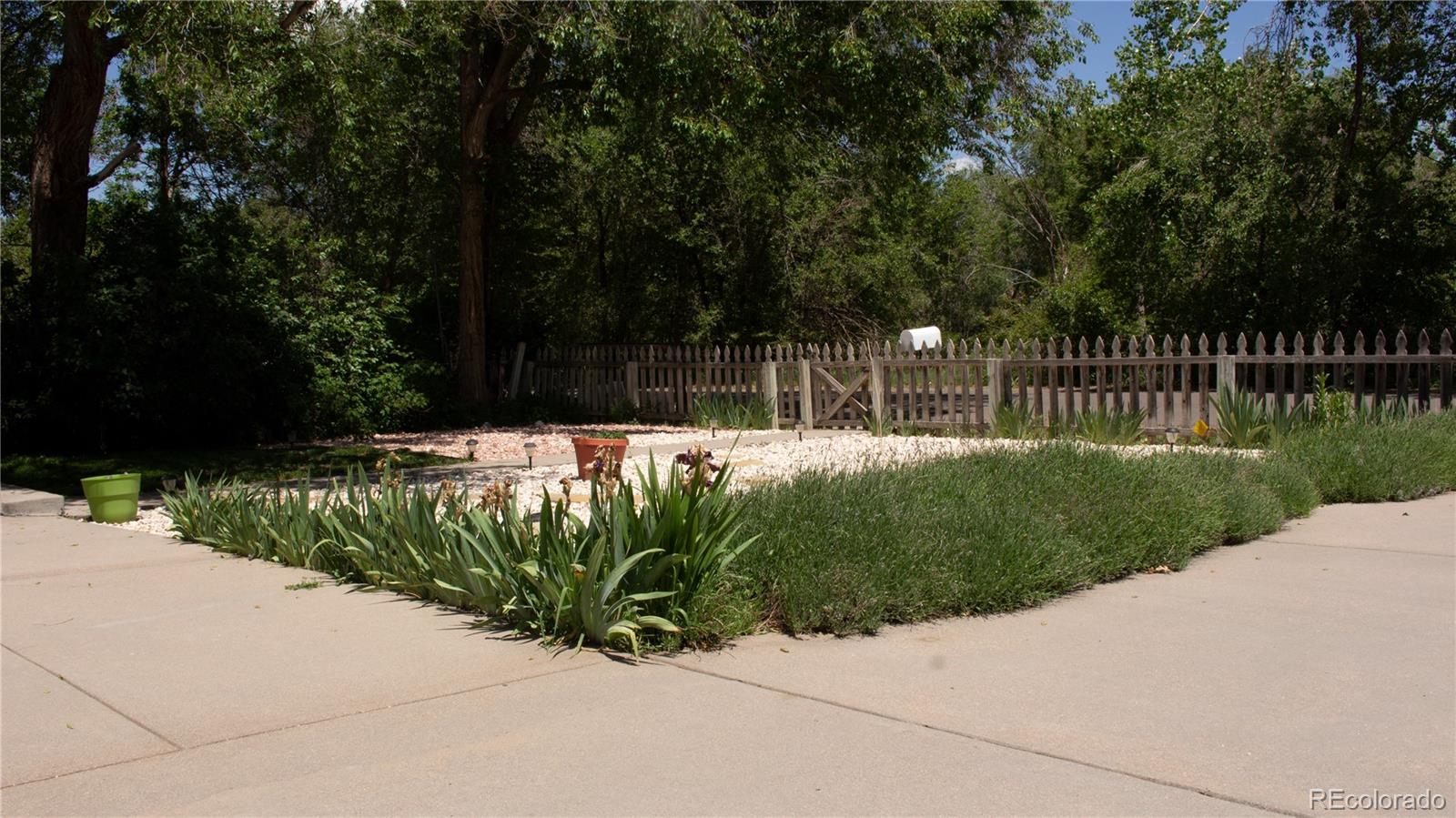 3193 South Decatur Street Denver, CO 80236 - Photo 2 of 32 Gallery Image 2