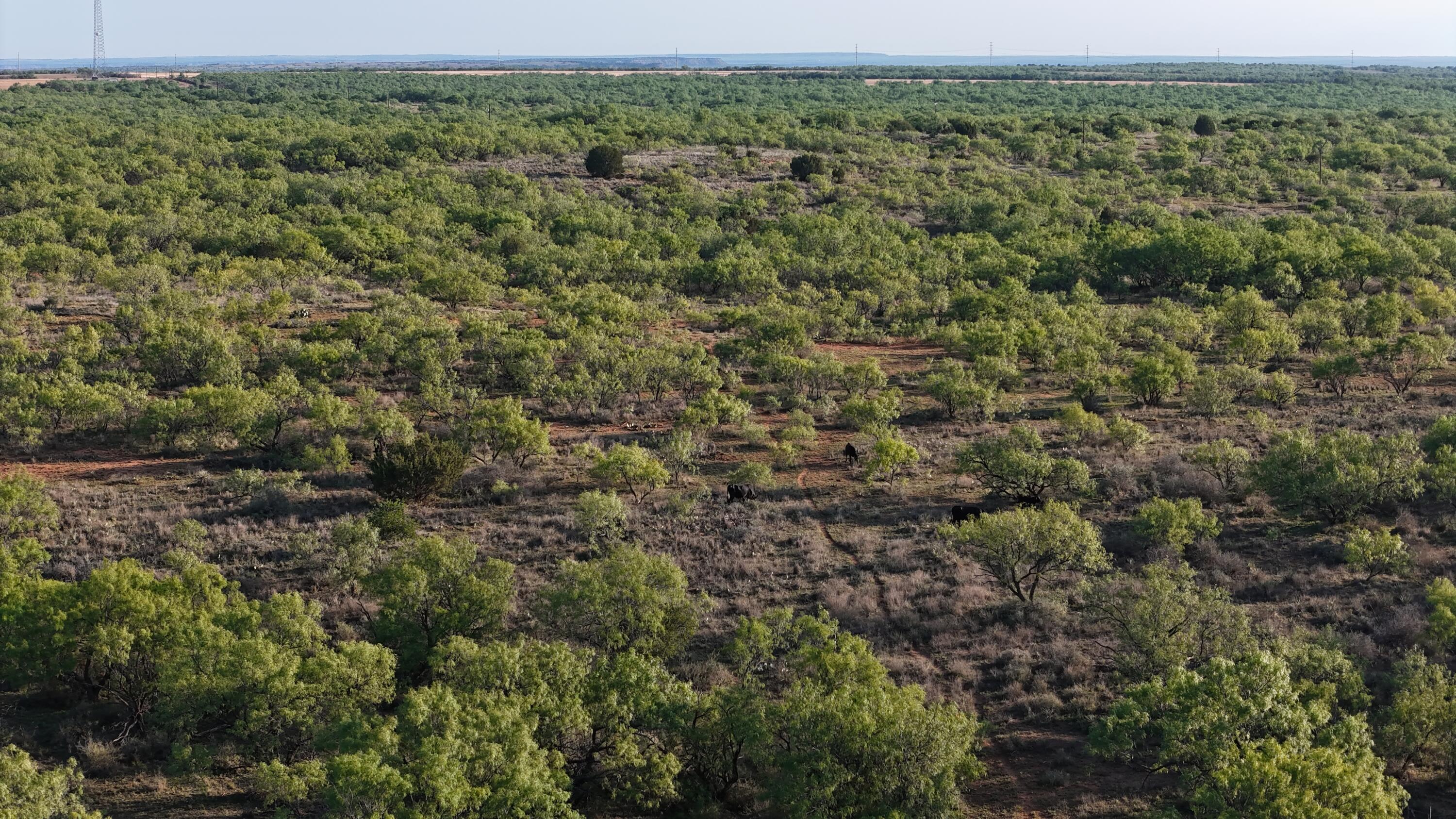92 Texas Hamlin, TX 79520 - Photo 34 of 63 DJI_20260528075952_0124_D