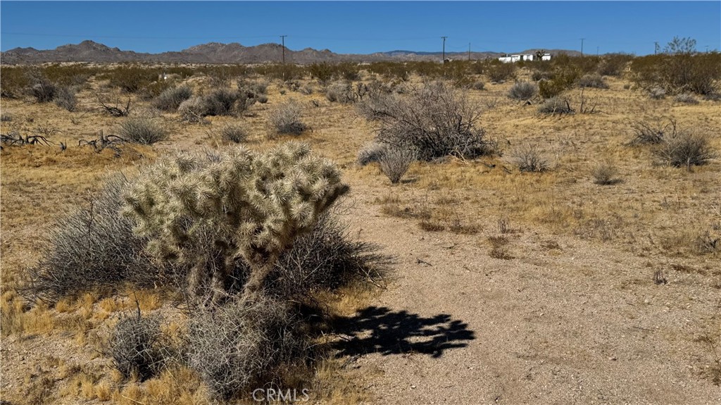 0 Bodick Road Johnson Valley, CA 92285 - Photo 6 of 12