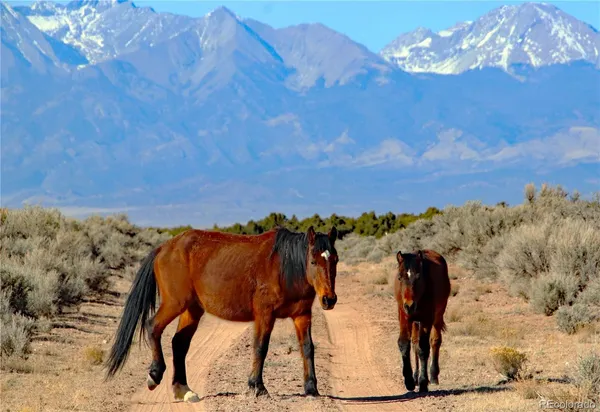 $7,200 | 40 Alta Mesa Drive, San Luis, CO 81152