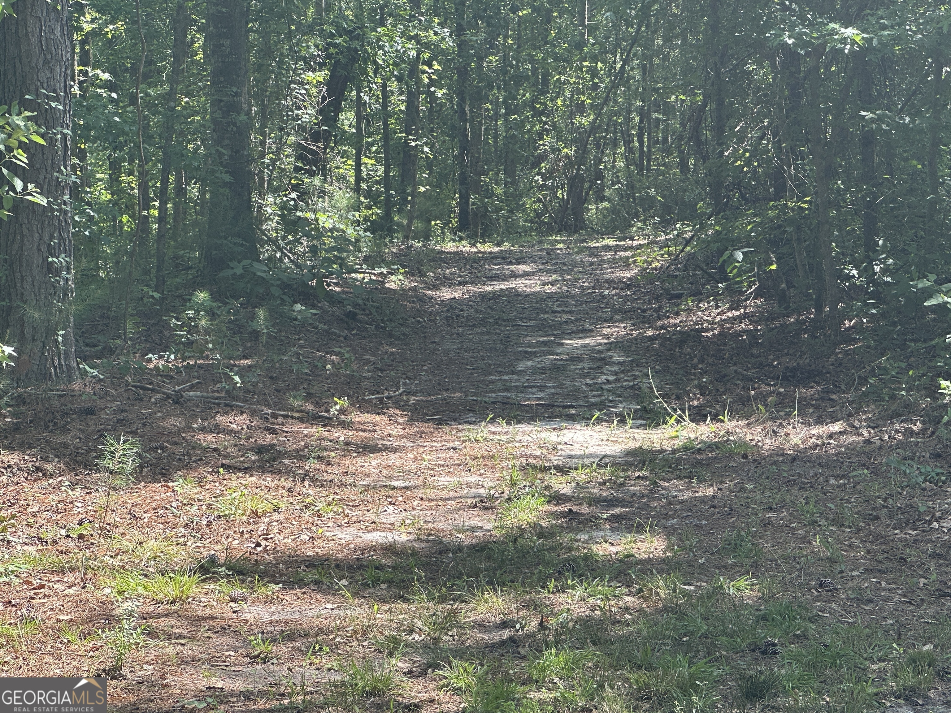 925 Cleary Road Brooklet, GA 30415 - Photo 37 of 48 a view of a yard with large trees