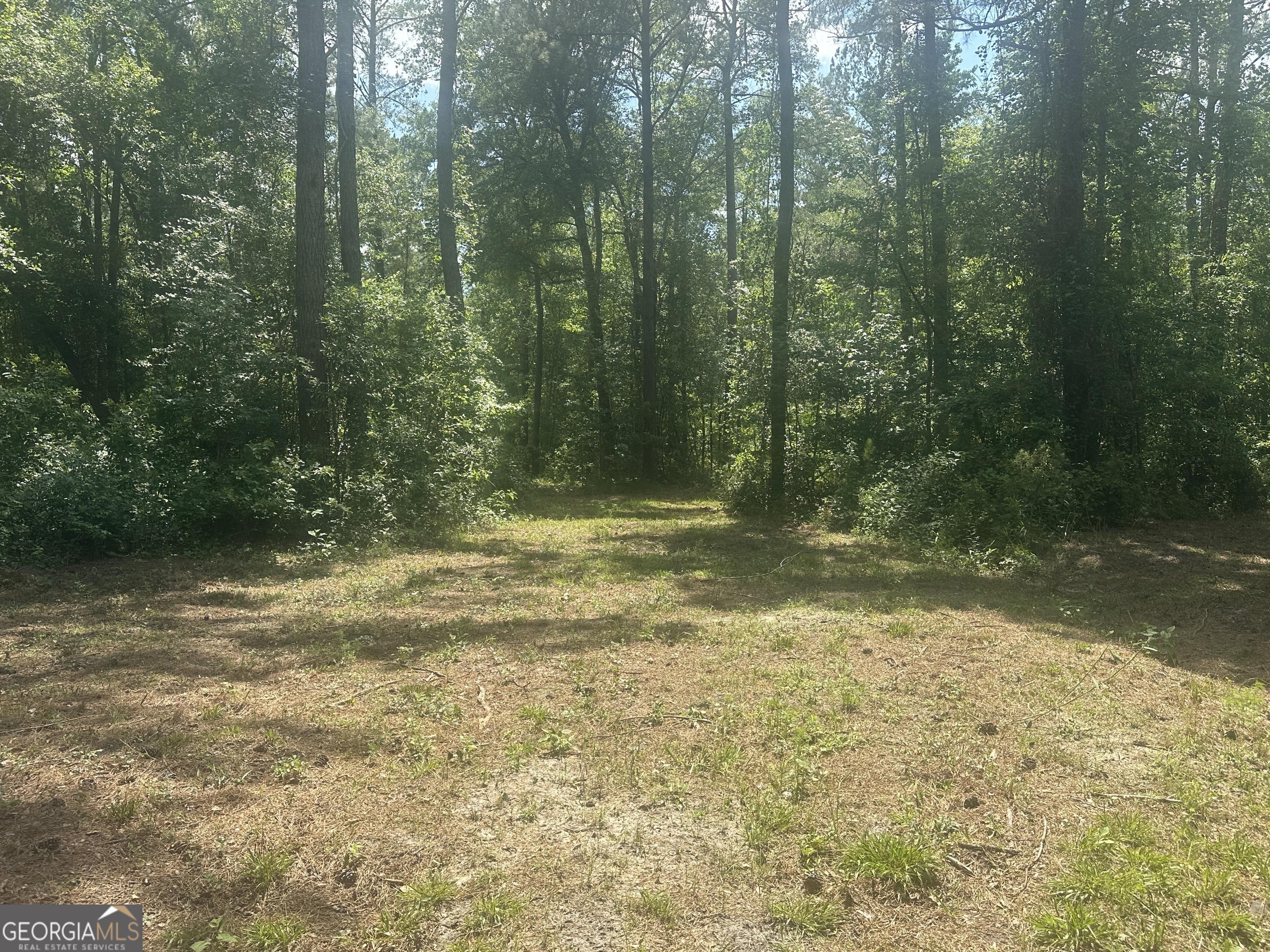 925 Cleary Road Brooklet, GA 30415 - Photo 38 of 48 a view of outdoor space and yard