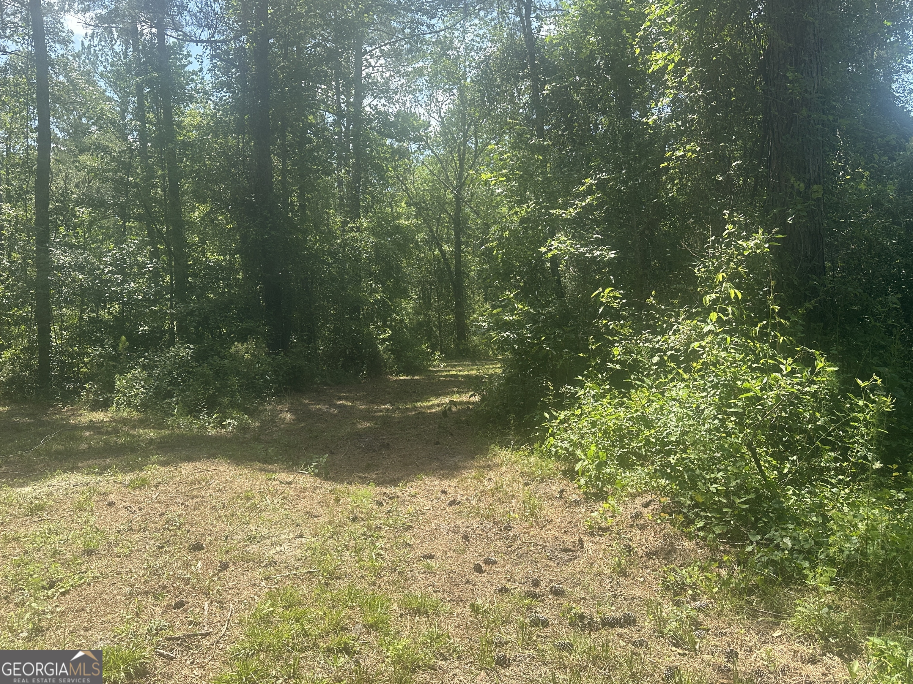 925 Cleary Road Brooklet, GA 30415 - Photo 39 of 48 a view of a yard with large trees