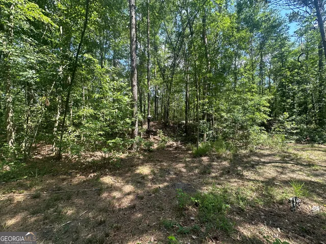 a view of outdoor space and yard