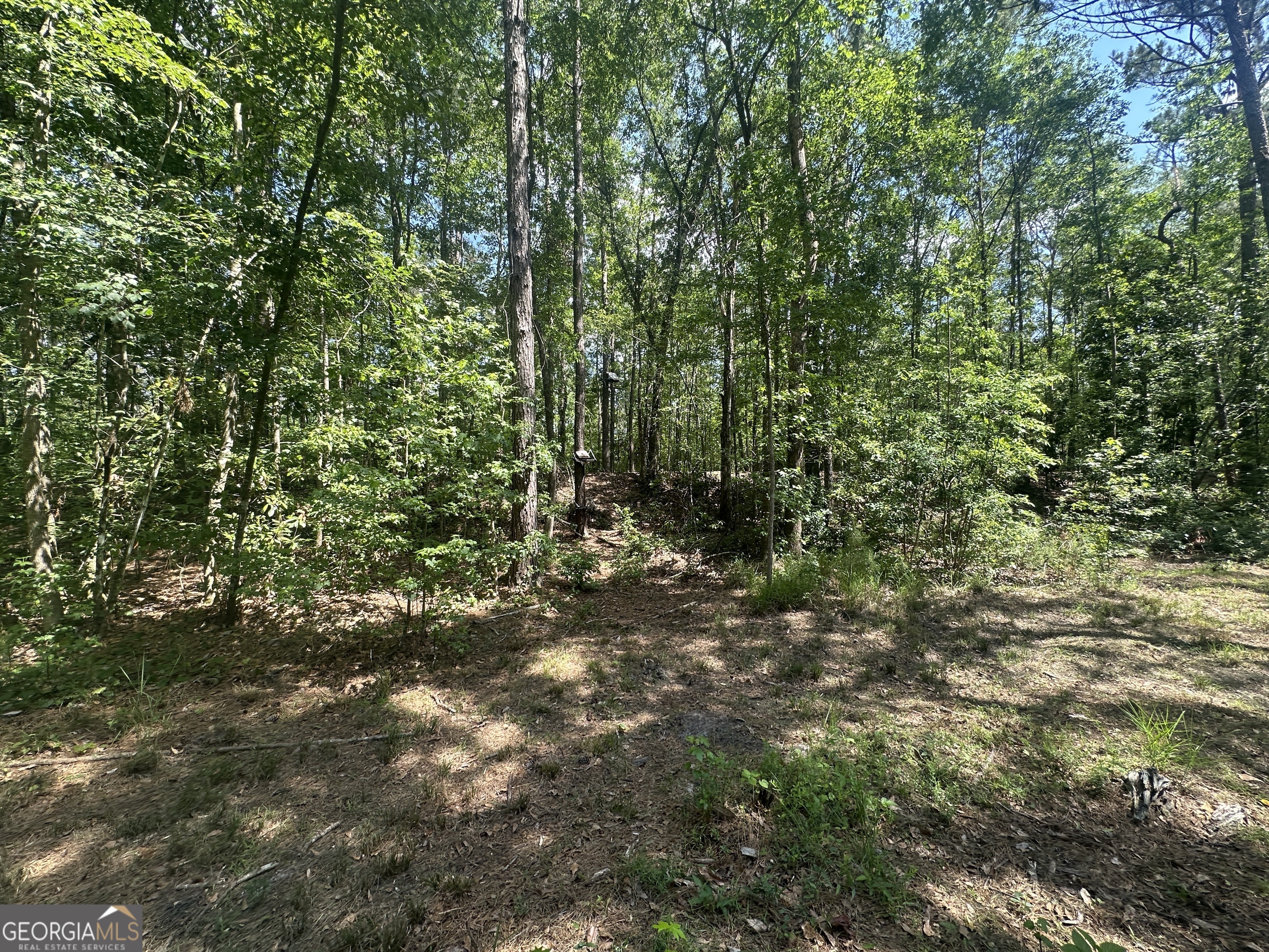 925 Cleary Road Brooklet, GA 30415 - Photo 40 of 48 a view of a lush green forest