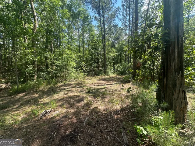 a view of a yard with plants and trees