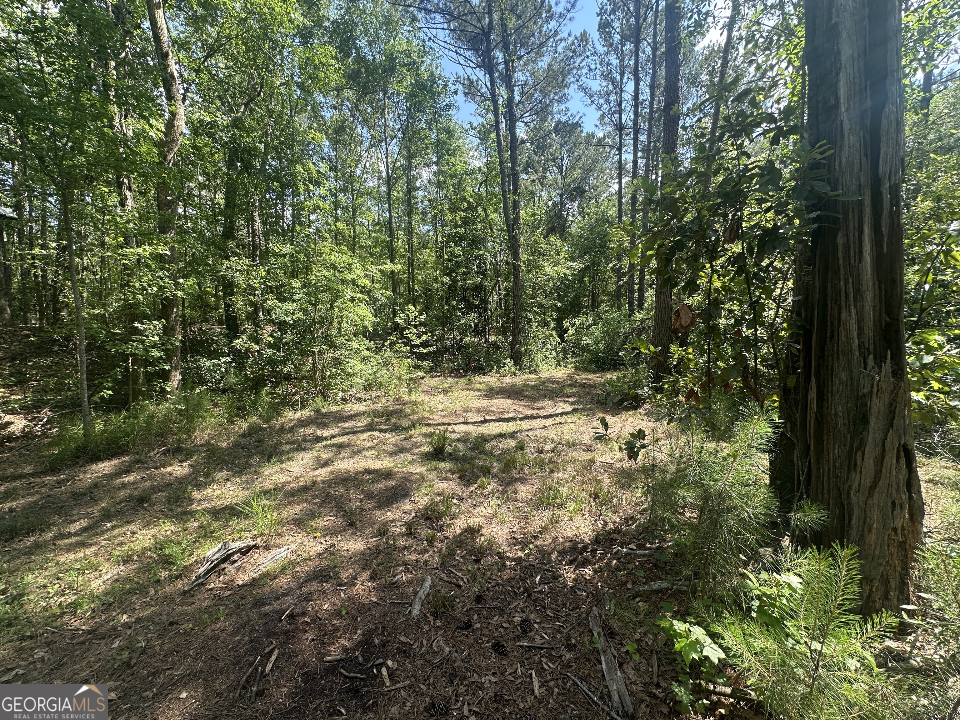 925 Cleary Road Brooklet, GA 30415 - Photo 41 of 48 a view of outdoor space and yard