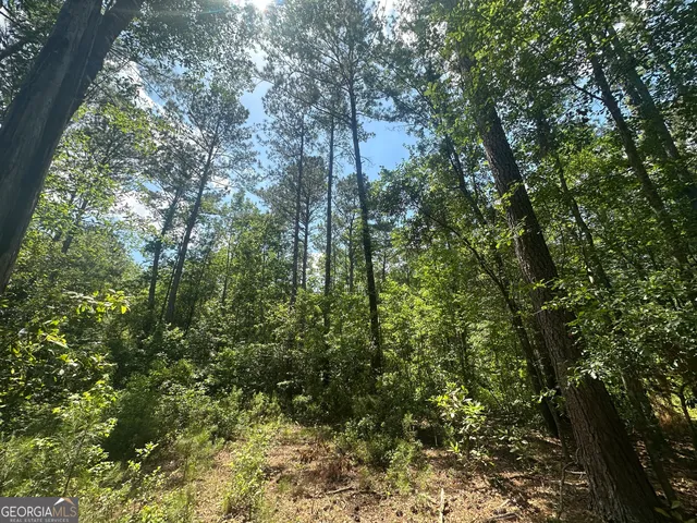 a view of outdoor space and trees
