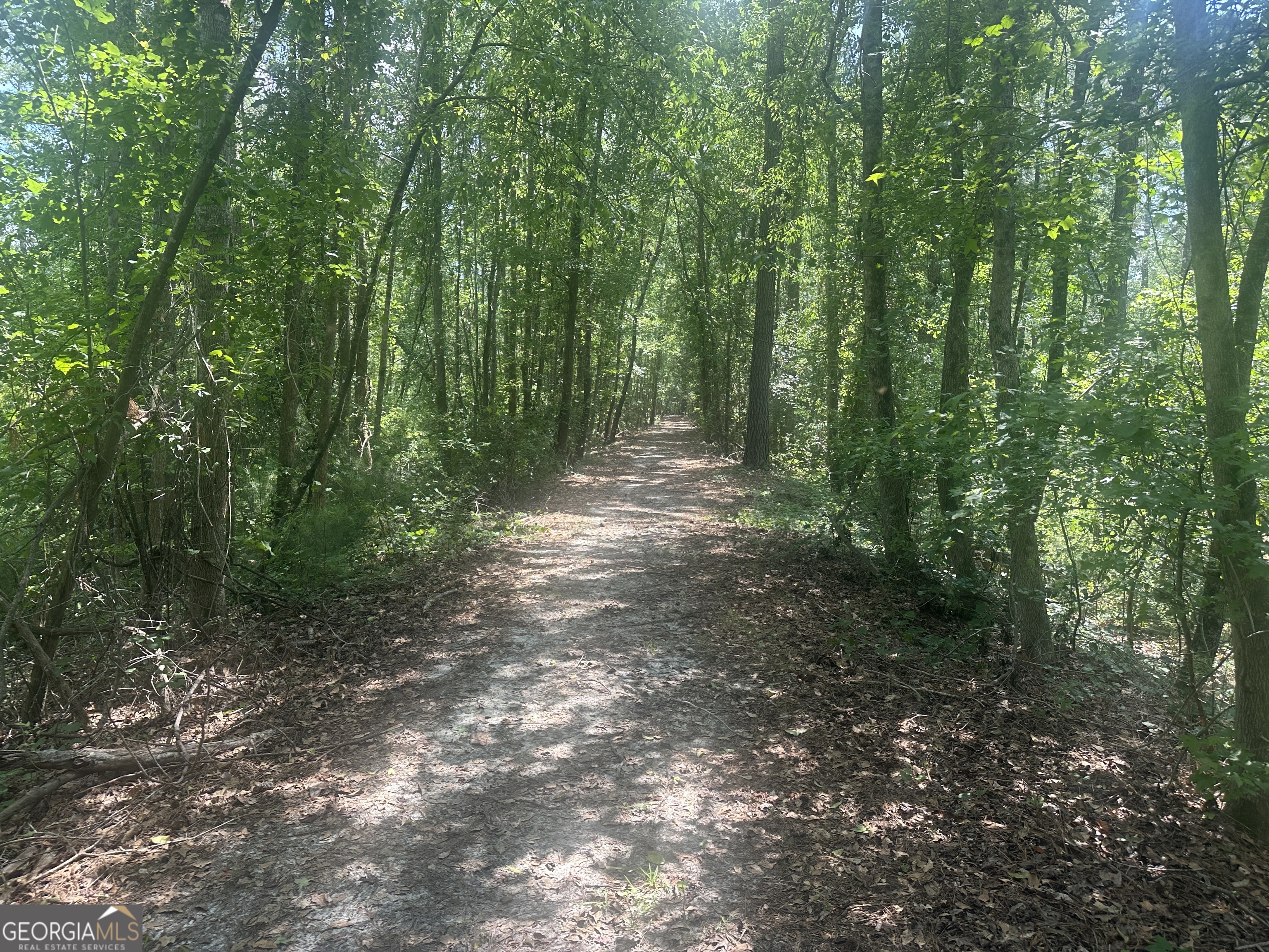925 Cleary Road Brooklet, GA 30415 - Photo 43 of 48 a view of outdoor space and trees