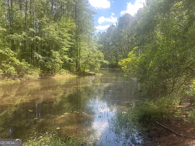 a view of a lake from a yard
