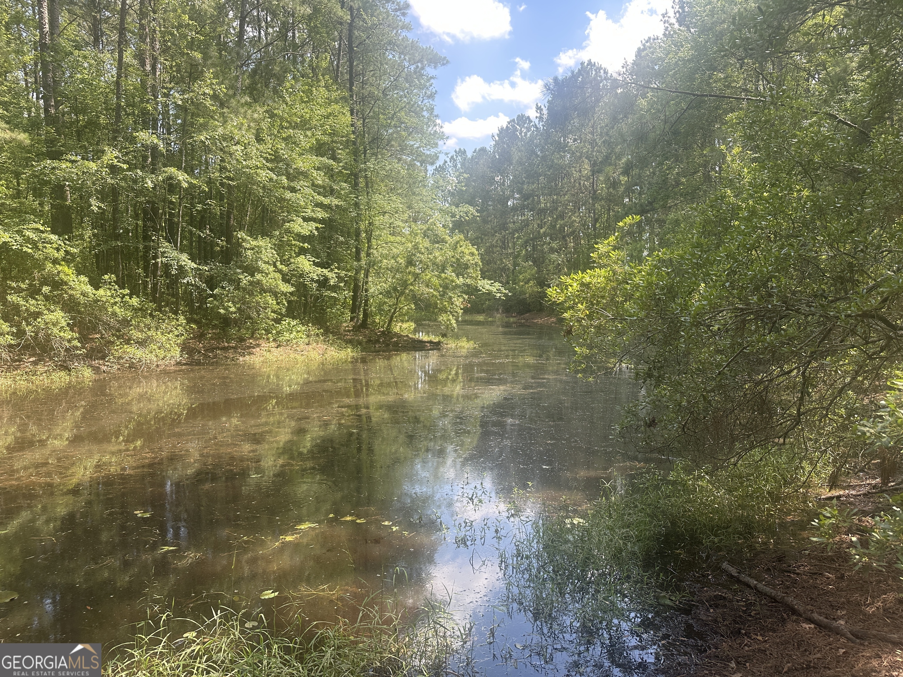 925 Cleary Road Brooklet, GA 30415 - Photo 44 of 48 a bathroom with a shower