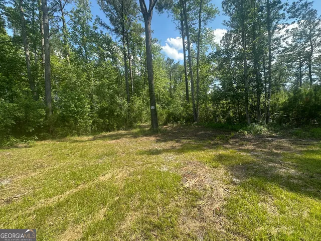 a view of outdoor space and yard