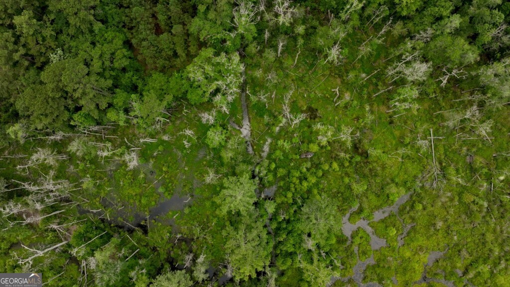 0 Highway 204 & Carlos Cowart Road Pembroke, GA 31321 - Photo 37 of 47