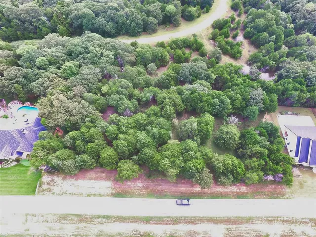 a view of a yard with plants and trees