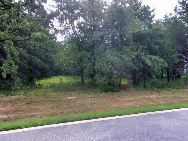 a view of a forest with a houses