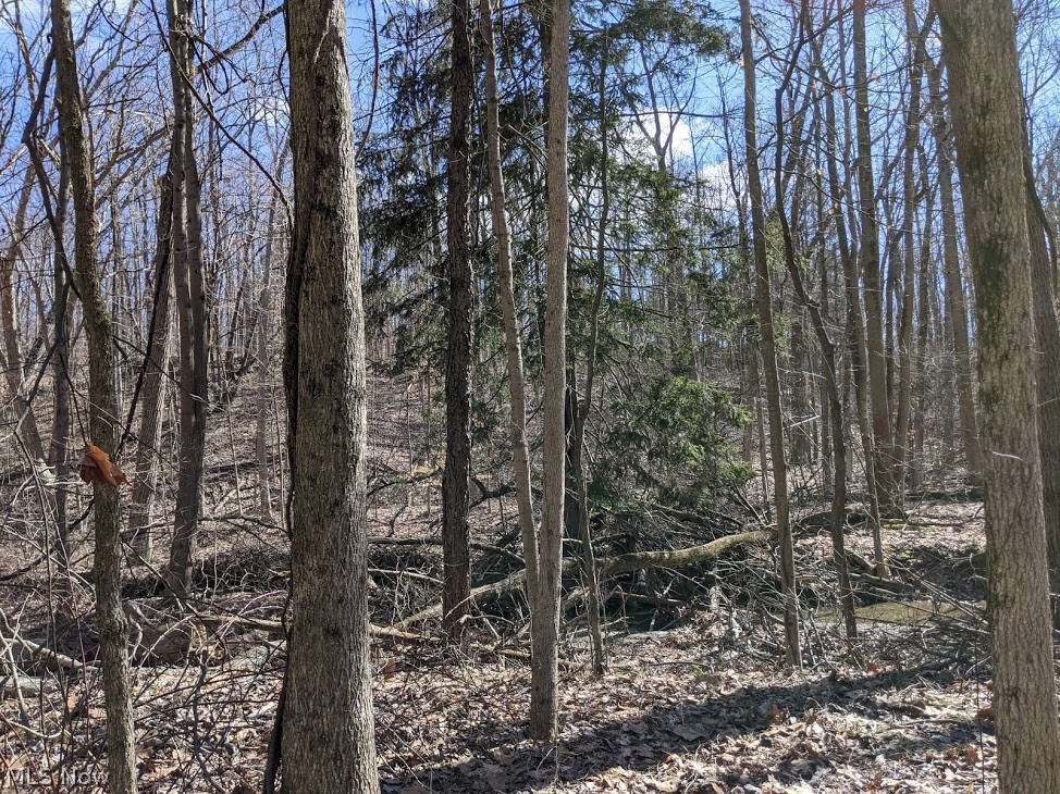 18507 Ridge Road North Royalton, OH 44133 - Photo 23 of 29