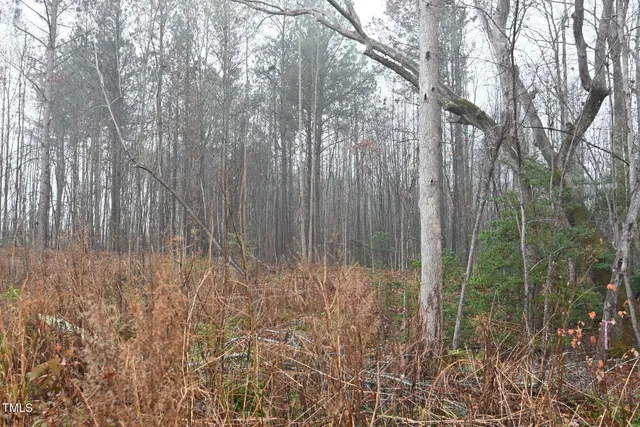 $25,000 | 1080 Lickskillet Road, Warrenton, NC 27589