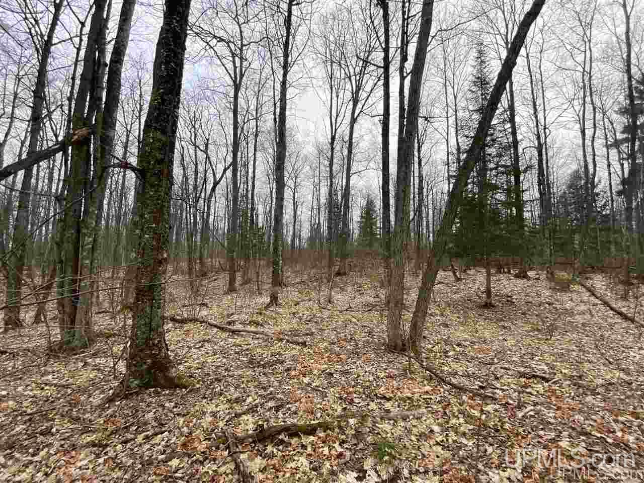 Tbd Plains Cutoff Road Baraga, MI 49908 - Photo 7 of 49