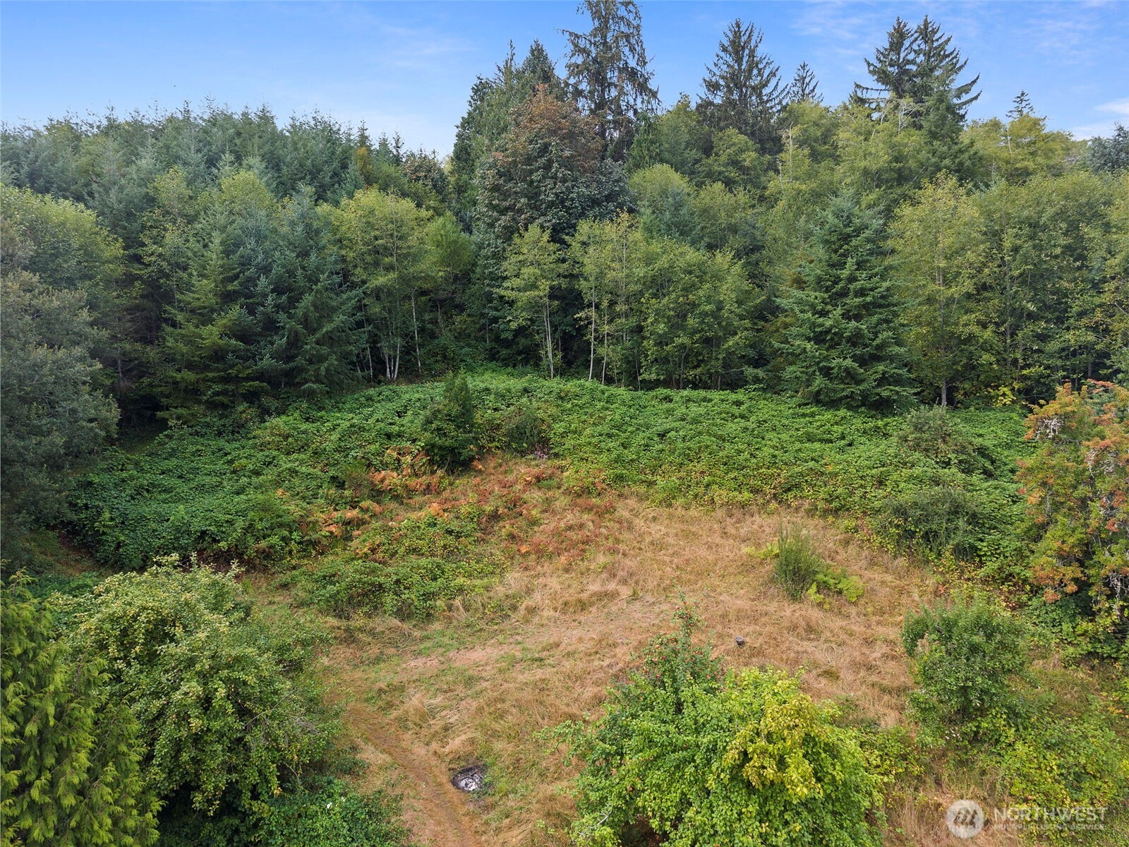 23 Elk Creek Road Raymond, WA 98577 - Photo 26 of 34 Gallery Image 26