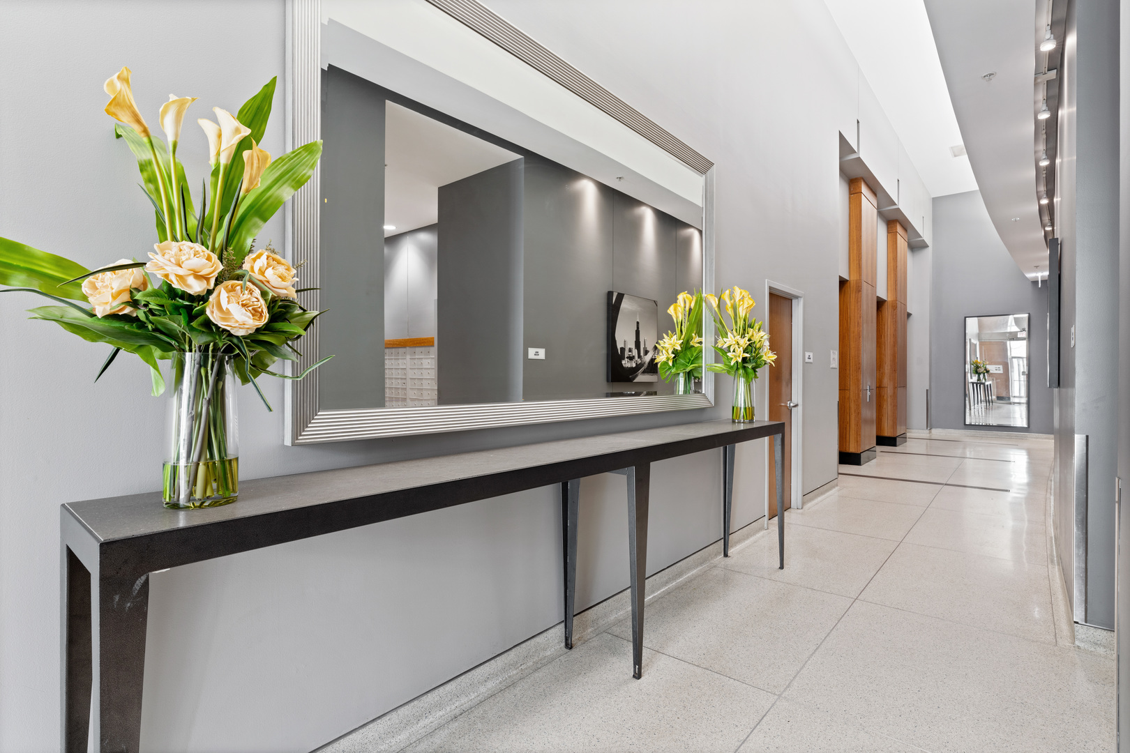 100 East 14th Street, Unit 1203 Chicago, IL 60605 - Photo 4 of 28 a view of hall with a potted plant