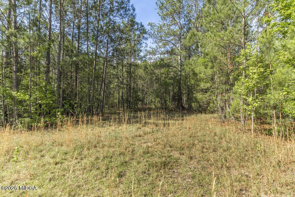 3270 Hamlin Road Lizella, GA 31052 - Photo 48 of 60 3270 Hamlin Rd 48