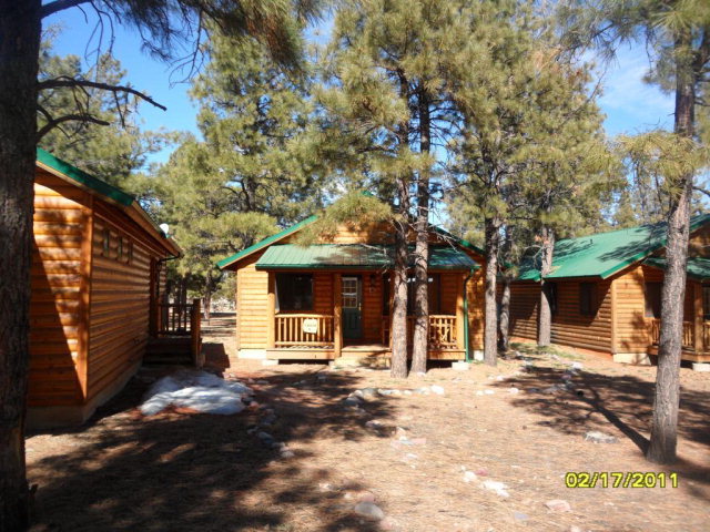 0 Bison Rnch Trail Overgaard, AZ 85933 - Photo 2 of 15 Additional Photo