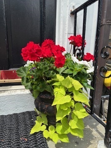 7 Lee Street, Unit 1 Marblehead, MA 01945 - Photo 26 of 32 a view of a flower