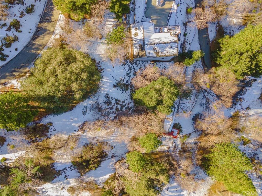 24071 Fern Glen Road Crestline, CA 92325 - Photo 18 of 29