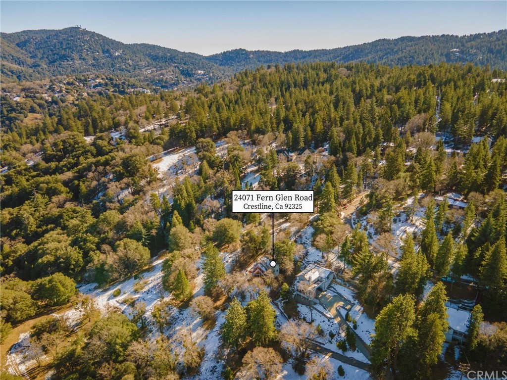 24071 Fern Glen Road Crestline, CA 92325 - Photo 20 of 29