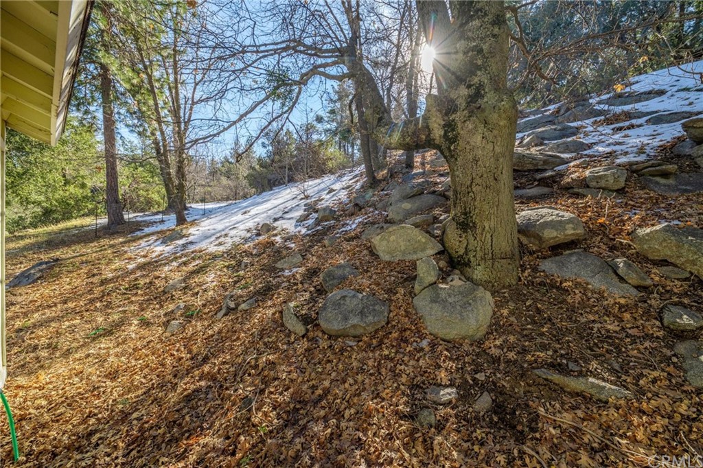 24071 Fern Glen Road Crestline, CA 92325 - Photo 21 of 29