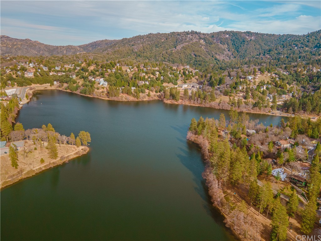 24071 Fern Glen Road Crestline, CA 92325 - Photo 27 of 29